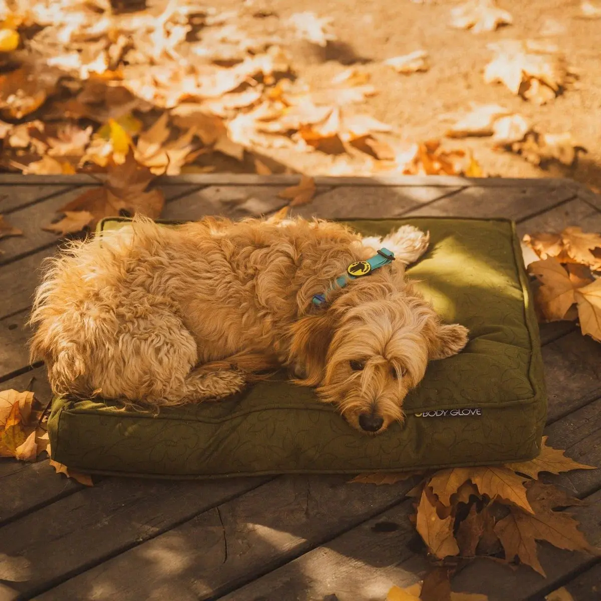 Body Glove Paintflower Pet Napper Dog Bed - Image 4