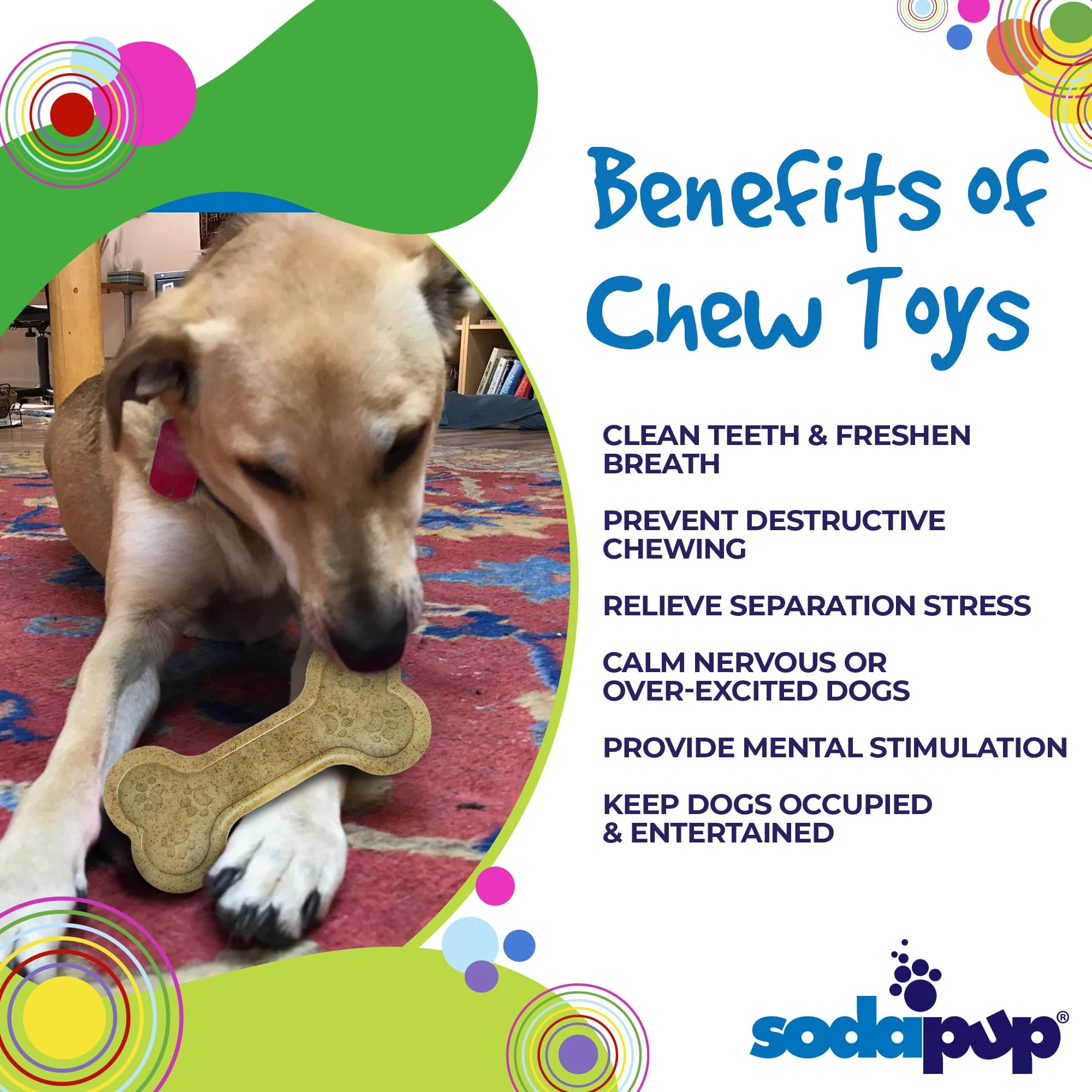 Bone eChew Ultra Durable Nylon Dog Chew Toy for Aggressive Chewers | USA Made - Image 3