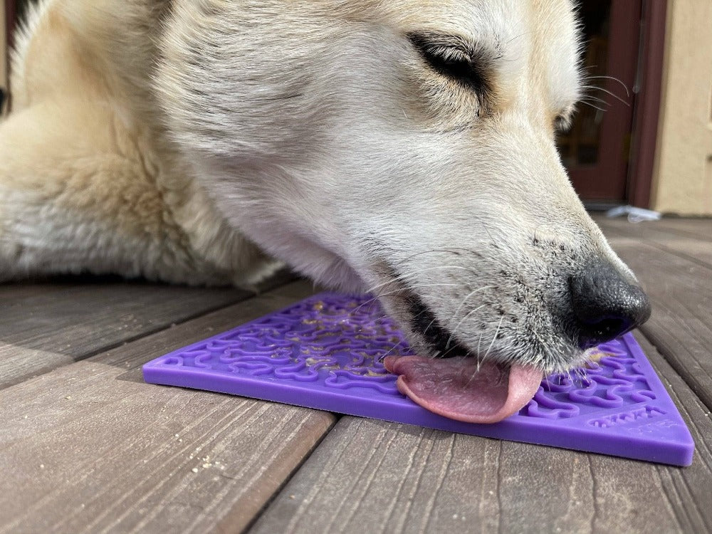 Bones eMat - Enrichment Lick Mat for Dogs and Cats | eMat Enrichment Toy for Anxiety Relief | SodaPup - Image 6