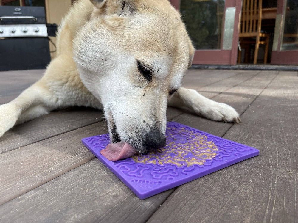 Bones eMat - Enrichment Lick Mat for Dogs and Cats | eMat Enrichment Toy for Anxiety Relief | SodaPup - Image 9