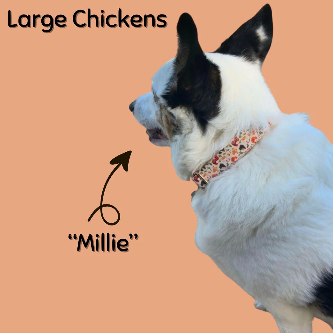 Boop Town Durable Soft Cotton Dog Collar With Nylon Core Quick Release Metal Buckle Adjustable for Girls Boys Small Medium Large Comfortable Pet Products Reduces Hair Matting Gold Tone Zinc Alloy Hardware - Image 6