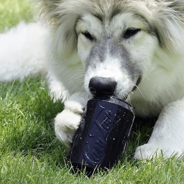 Bottle Top Flyer Rubber Frisbee for Dogs | Orange | Vet Approved | USA Made - Image 12
