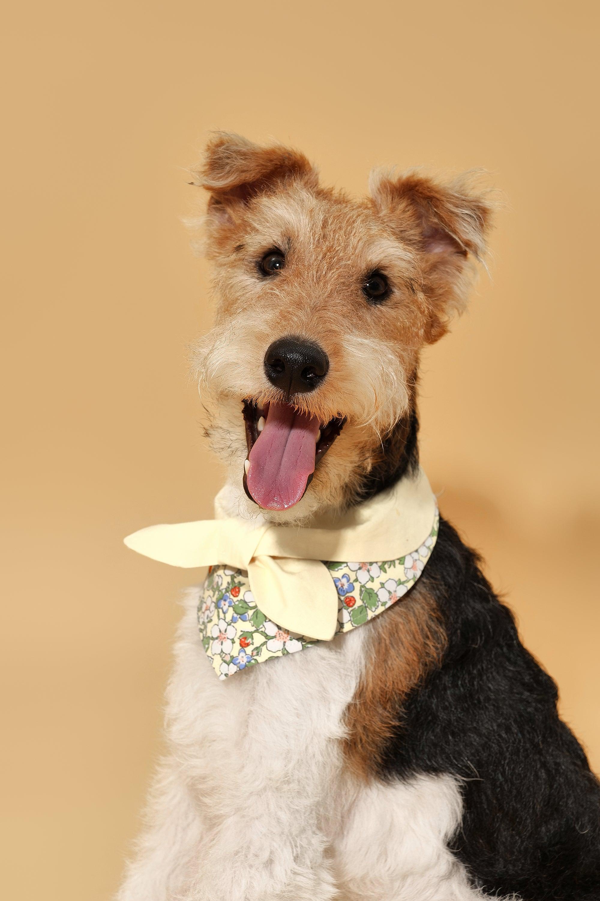 Bowtiful Garden Butter Yellow Floral Bandana - Image 2