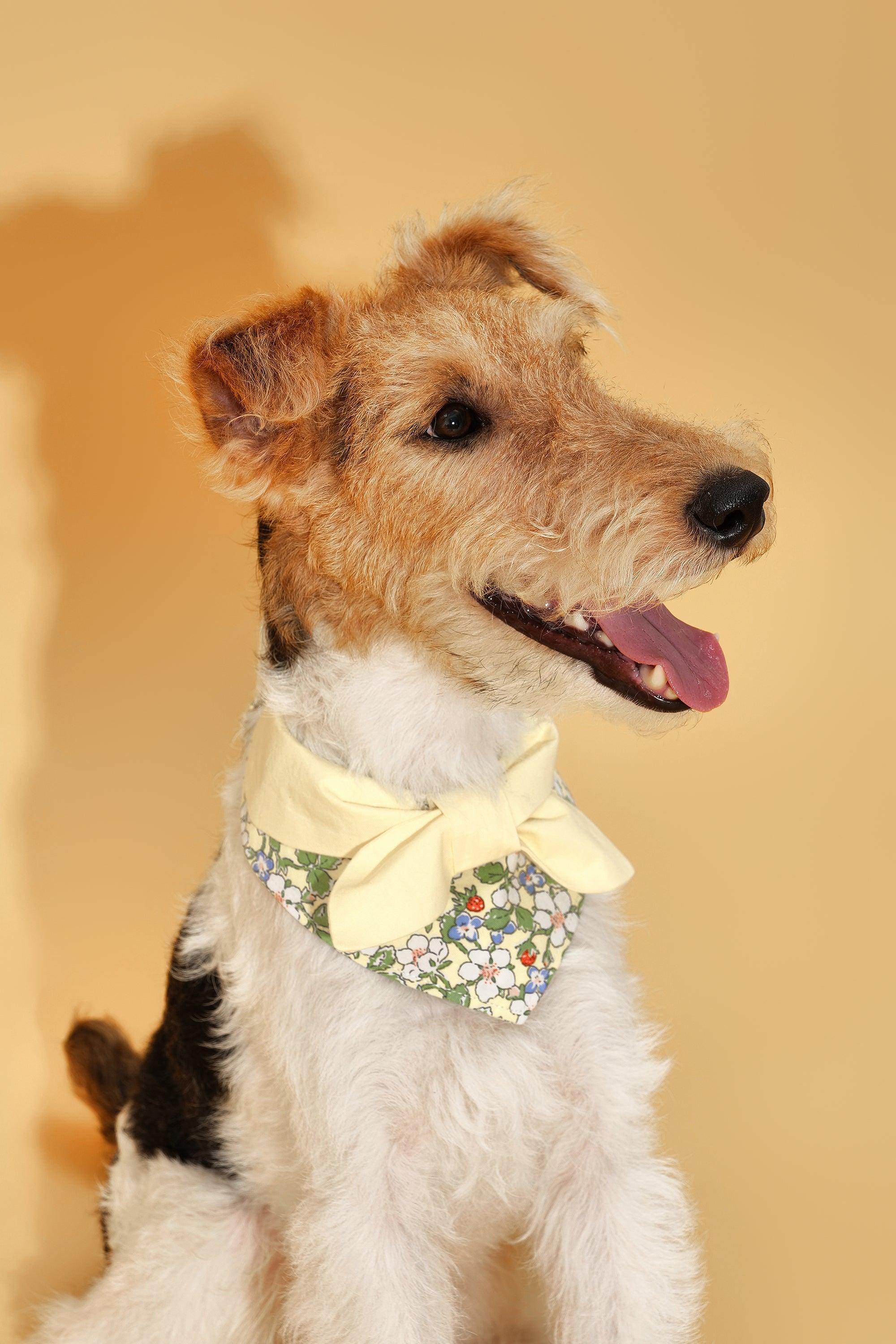Bowtiful Garden Butter Yellow Floral Bandana - Image 4