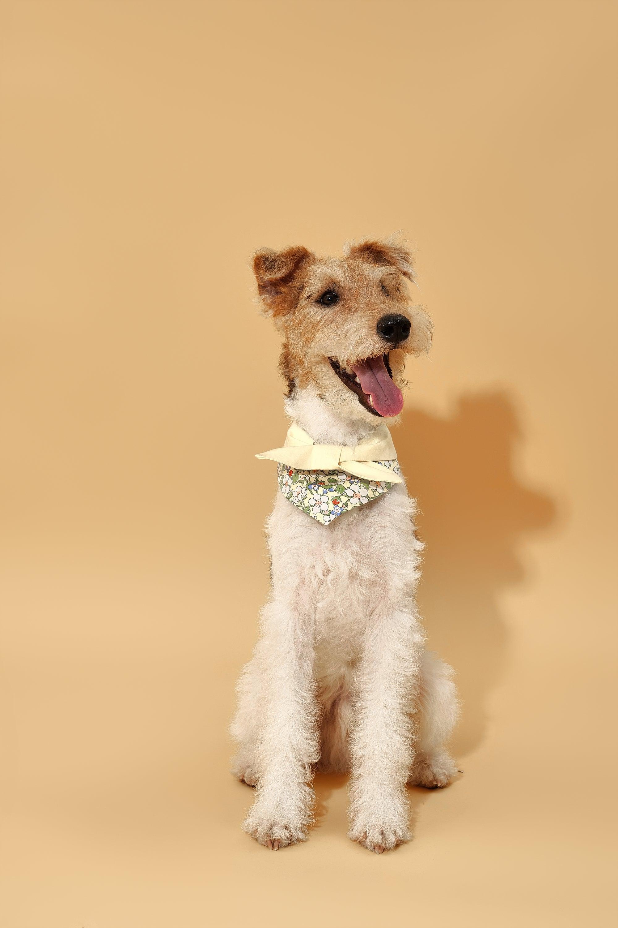 Bowtiful Garden Butter Yellow Floral Bandana - Image 5