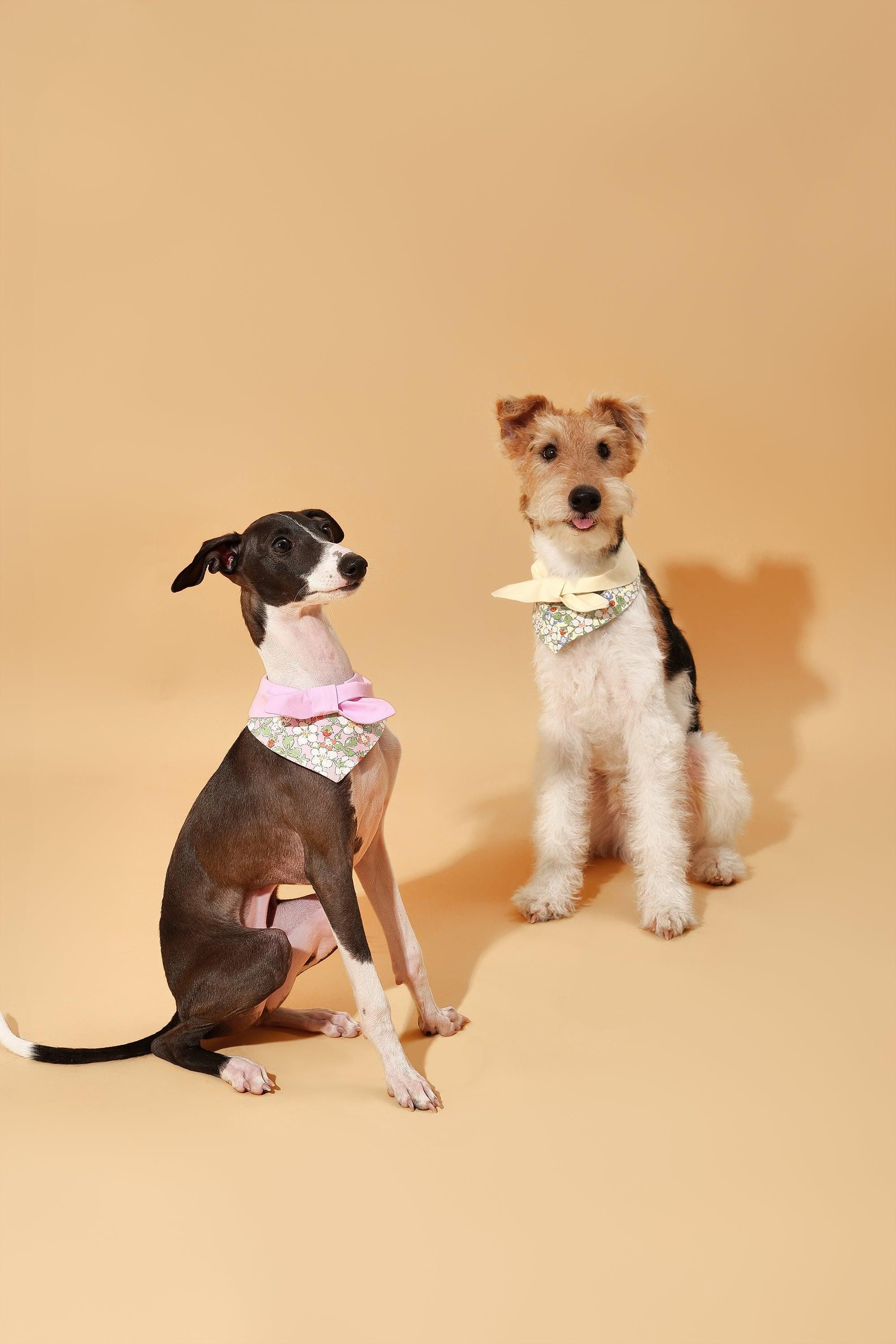 Bowtiful Garden Butter Yellow Floral Bandana - Image 6