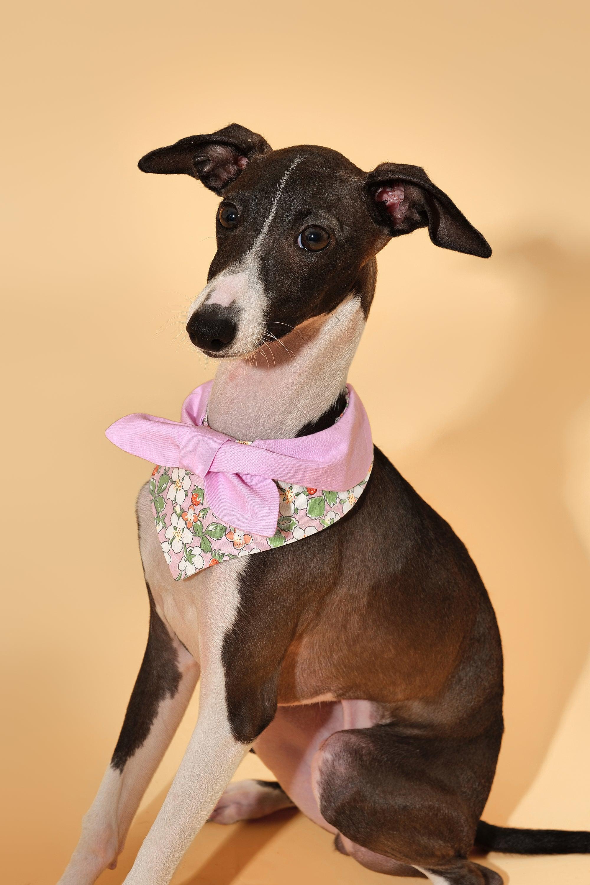 Bowtiful Garden Pink Floral Bandana - Image 2