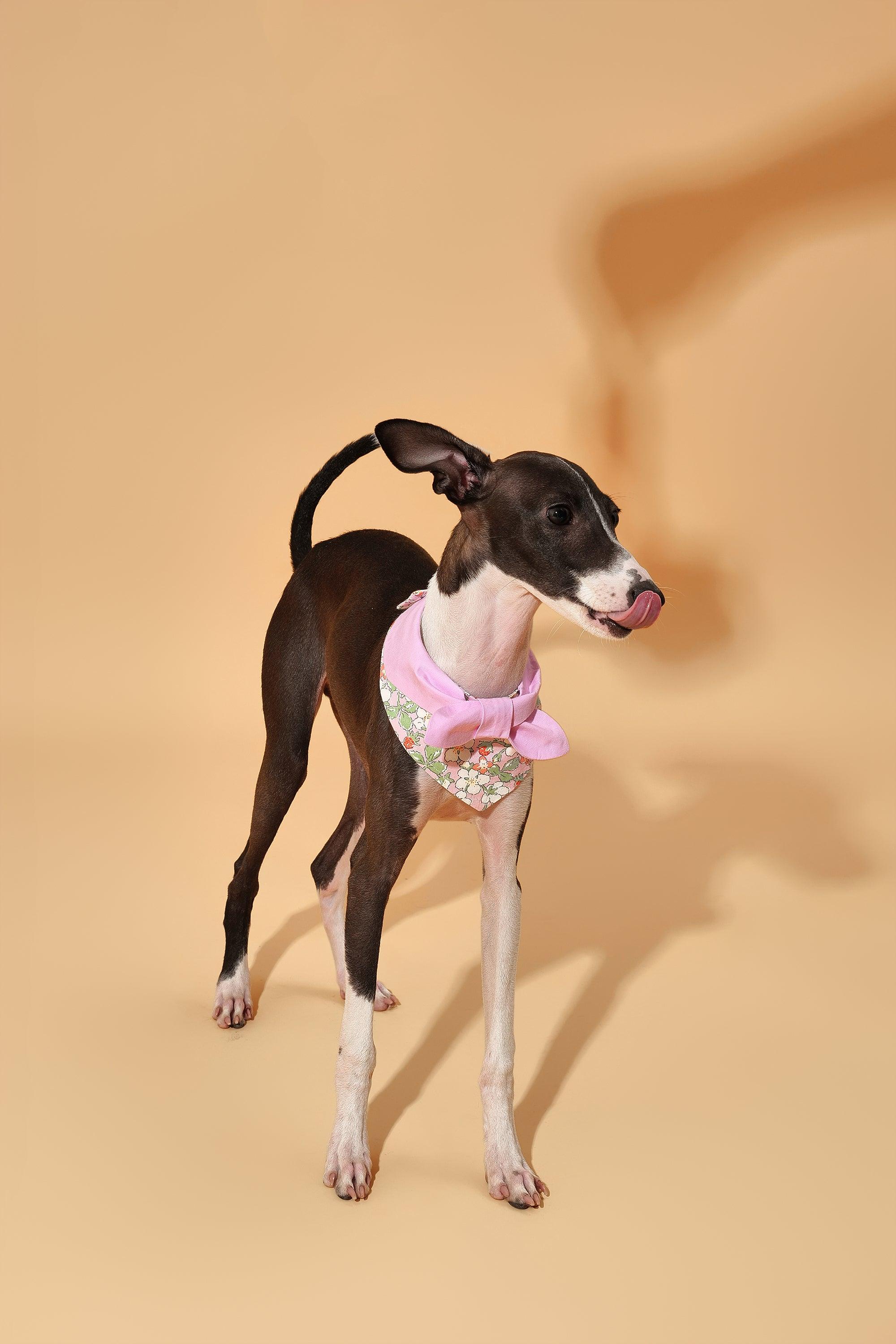Bowtiful Garden Pink Floral Bandana - Image 4