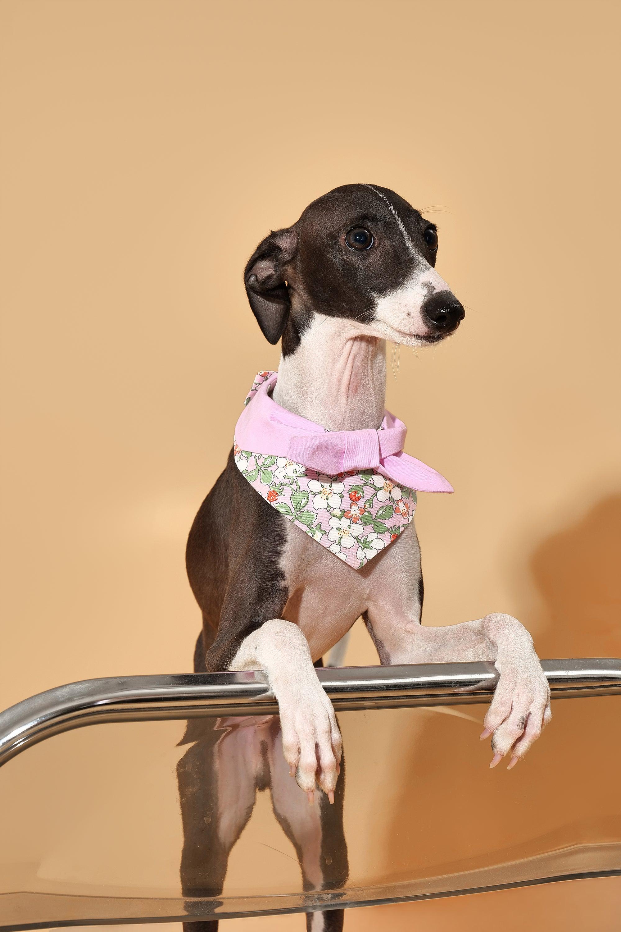 Bowtiful Garden Pink Floral Bandana - Image 5