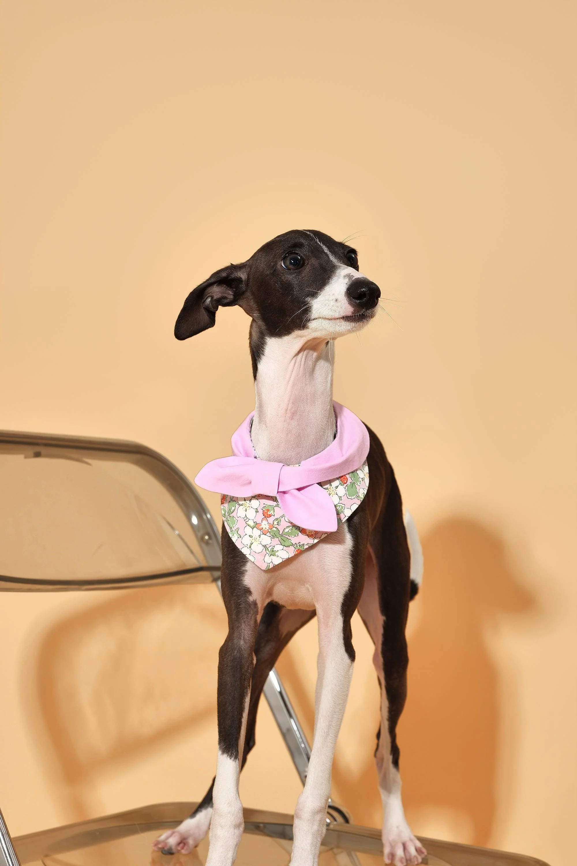 Bowtiful Garden Pink Floral Bandana - Image 6