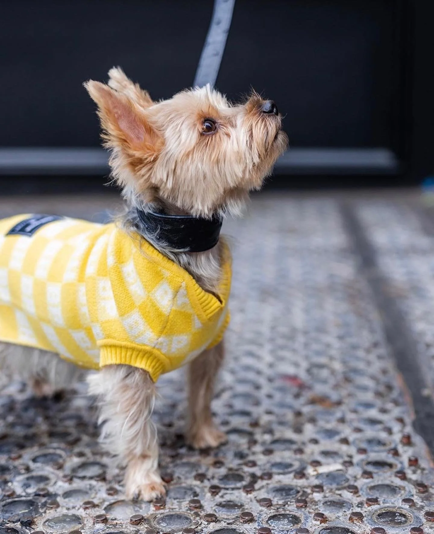 BP X BH Check Sweater vest - Image 5