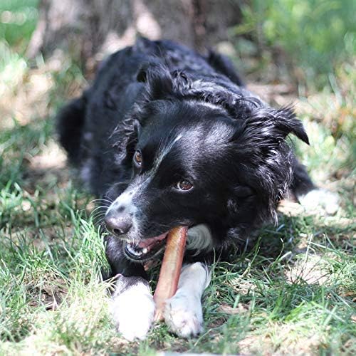 Brazilian Grass-Fed Beef Bully Sticks - Image 2