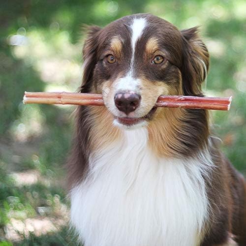 Brazilian Grass-Fed Beef Bully Sticks - Image 3