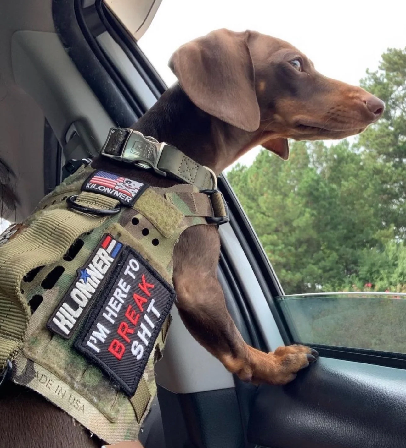 BREAK SHIT Morale Patch - Image 3