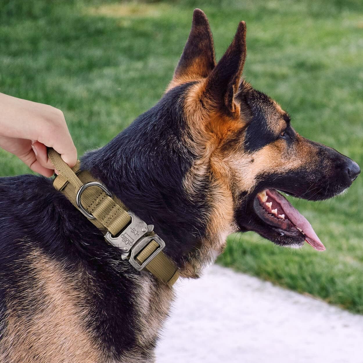 Breakaway 1.5 Dog Collar - Image 10