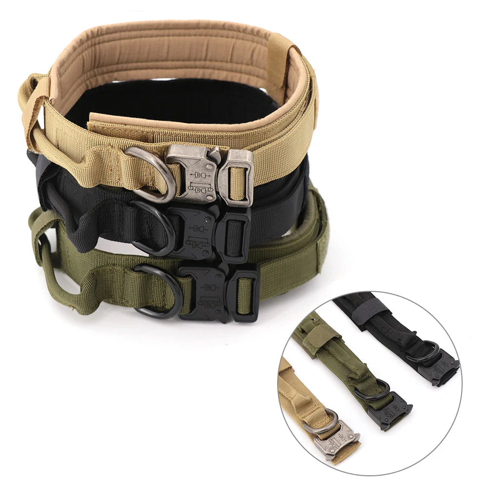 Breakaway 1.5 Dog Collar - Image 3