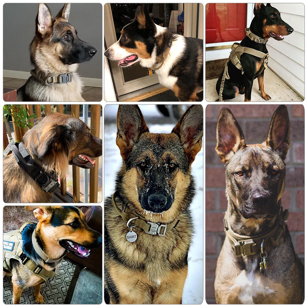 Breakaway 1.5 Dog Collar - Image 9