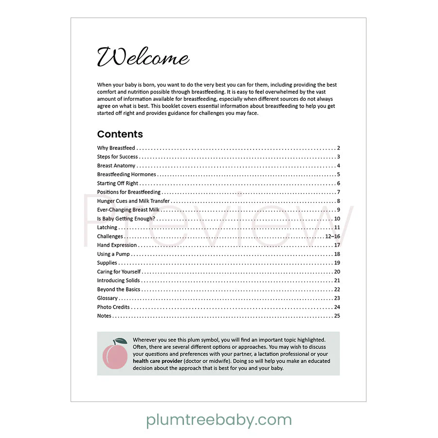 Breastfeeding Booklet - Image 2