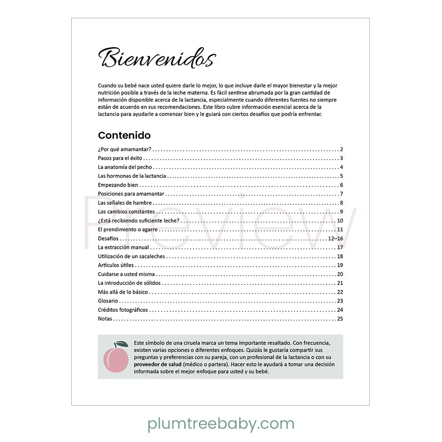 Breastfeeding Booklet - Image 4