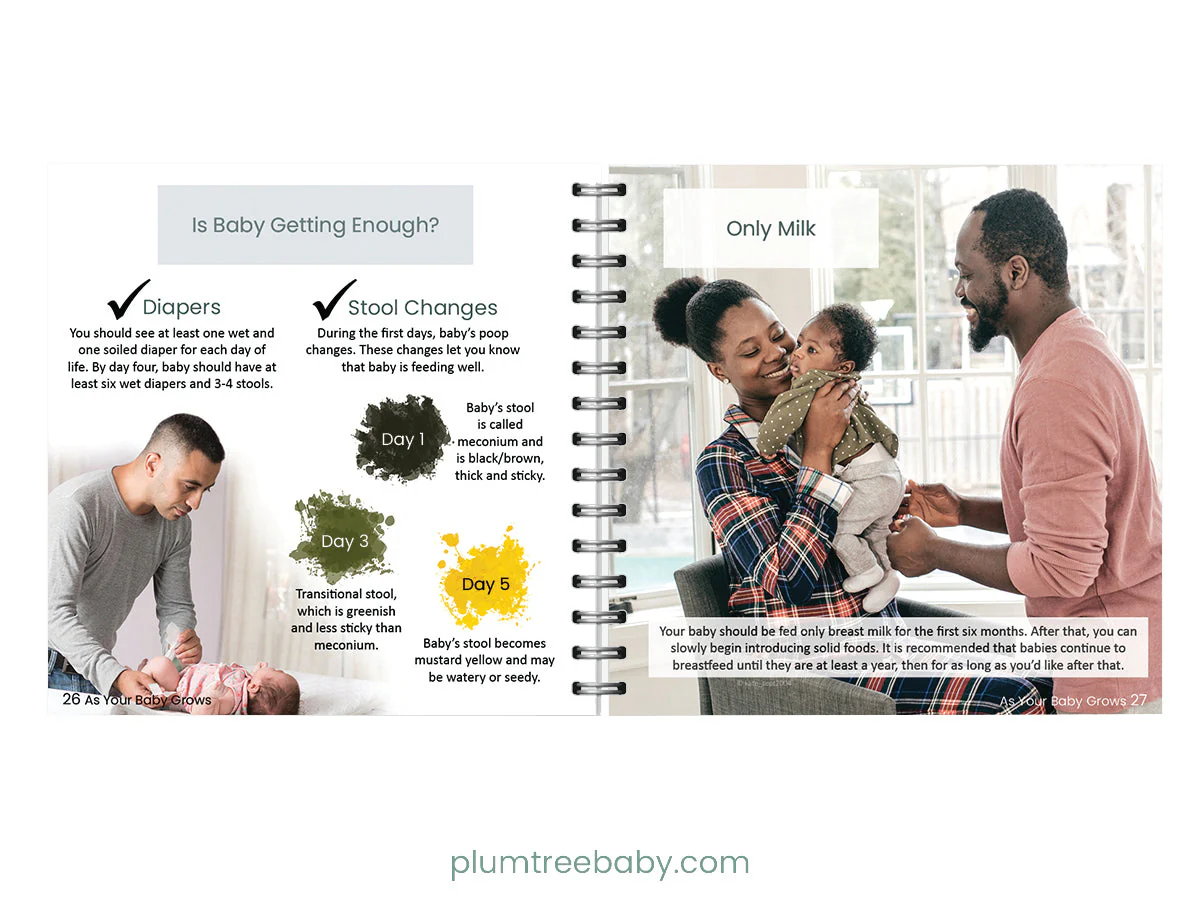 Breastfeeding Pocket Guide - Image 4