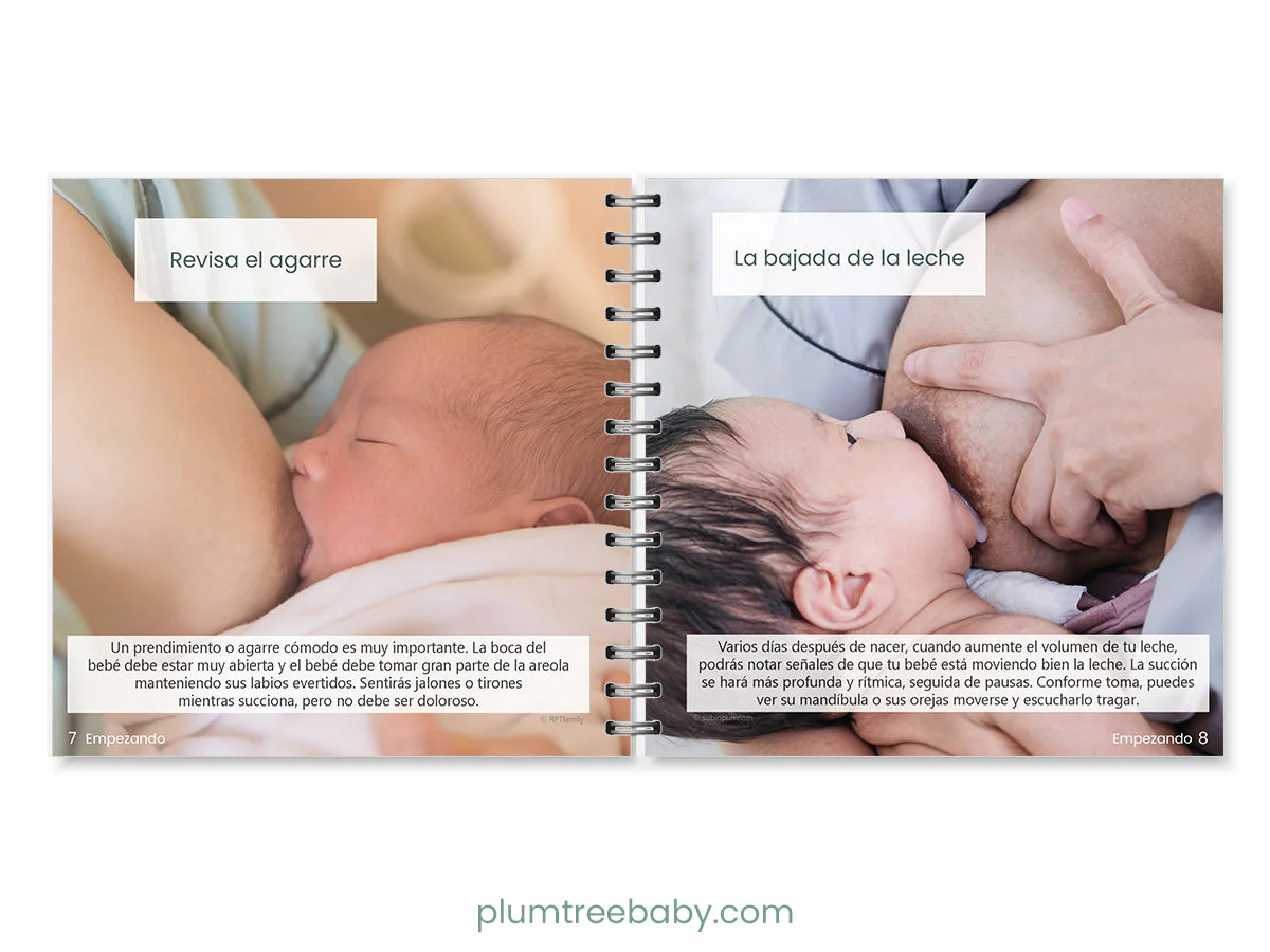 Breastfeeding Pocket Guide - Image 6