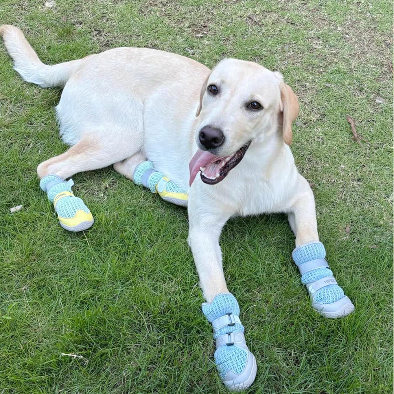 Breathable Dog Shoes with Anti-Slip Sole & Reflective Straps - Image 10