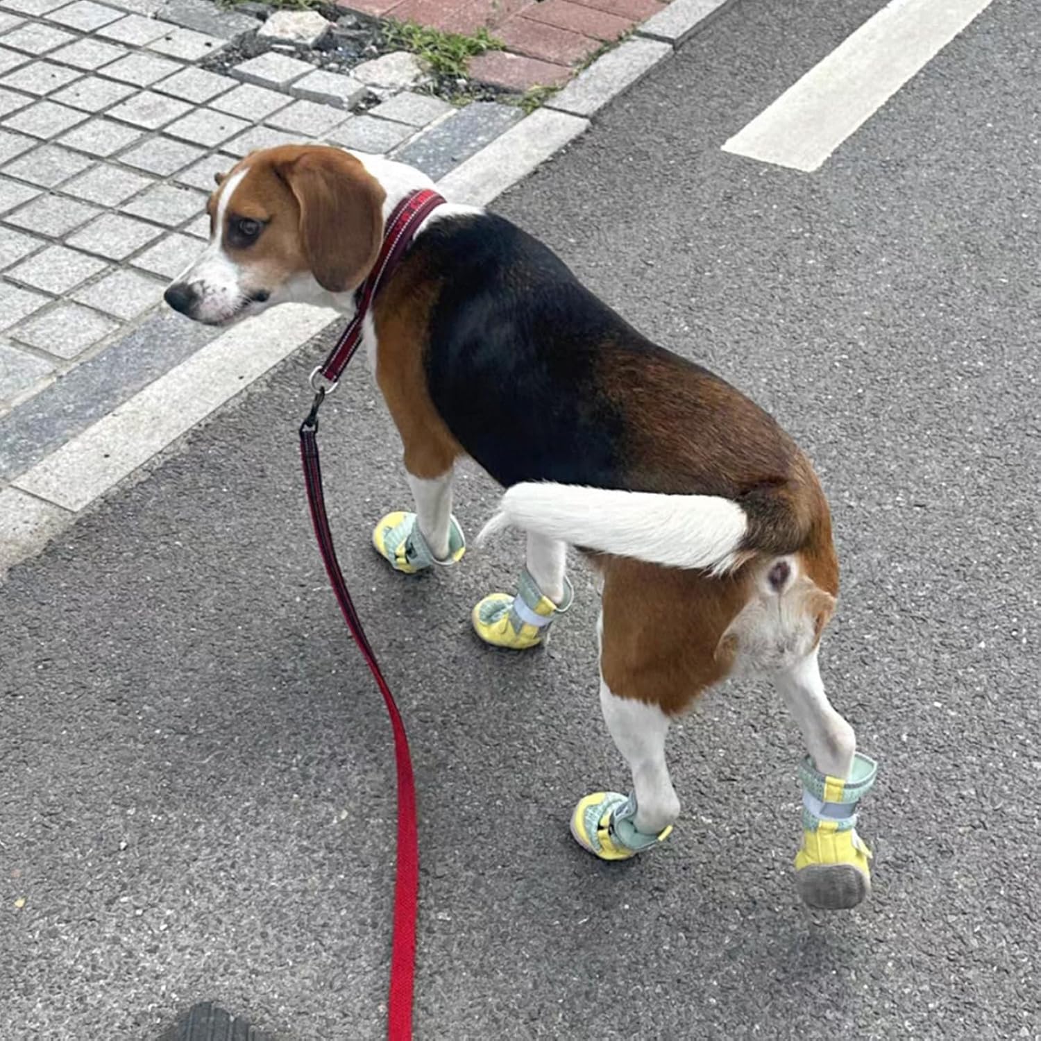 Breathable Dog Shoes with Anti-Slip Sole & Reflective Straps - Image 11
