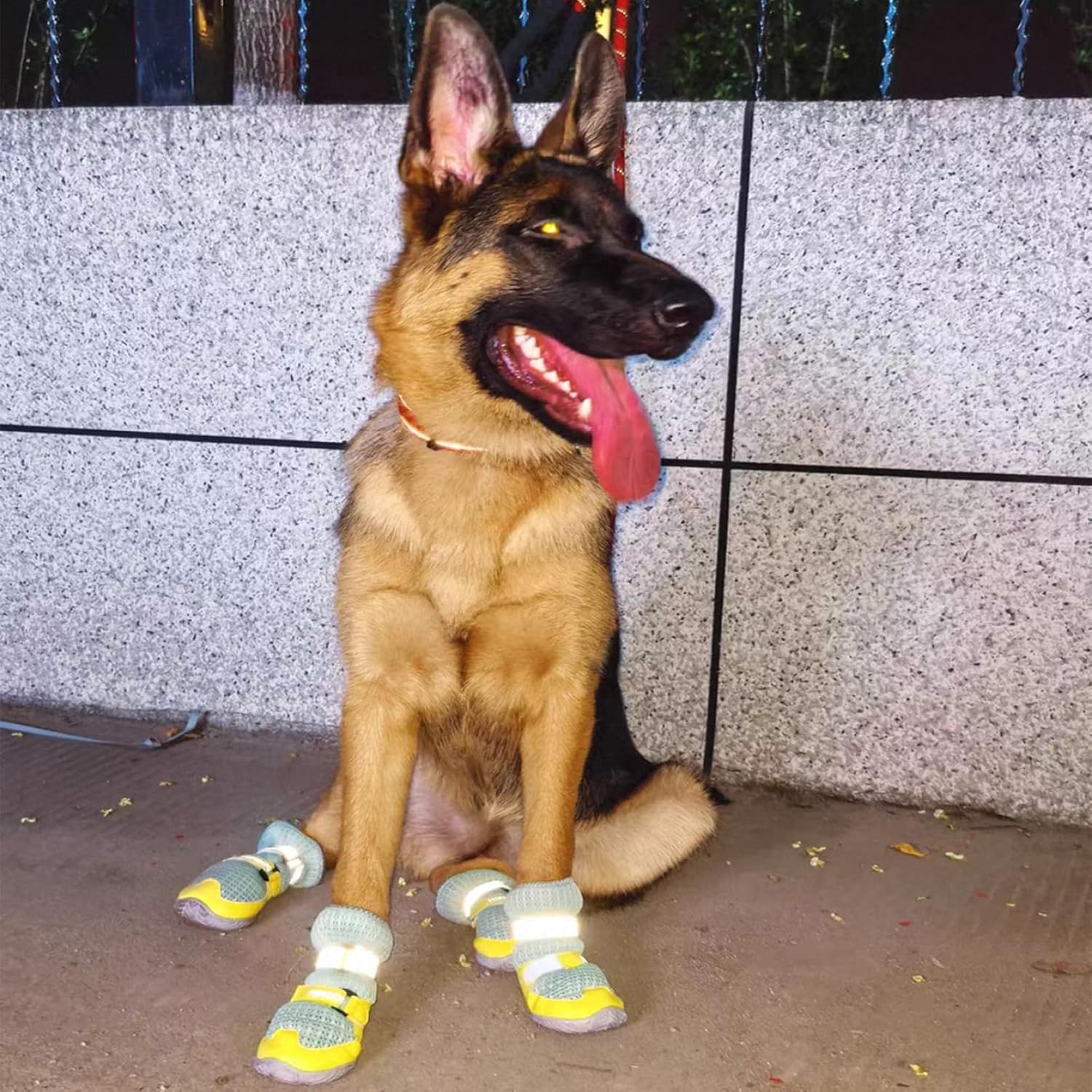 Breathable Dog Shoes with Anti-Slip Sole & Reflective Straps - Image 12
