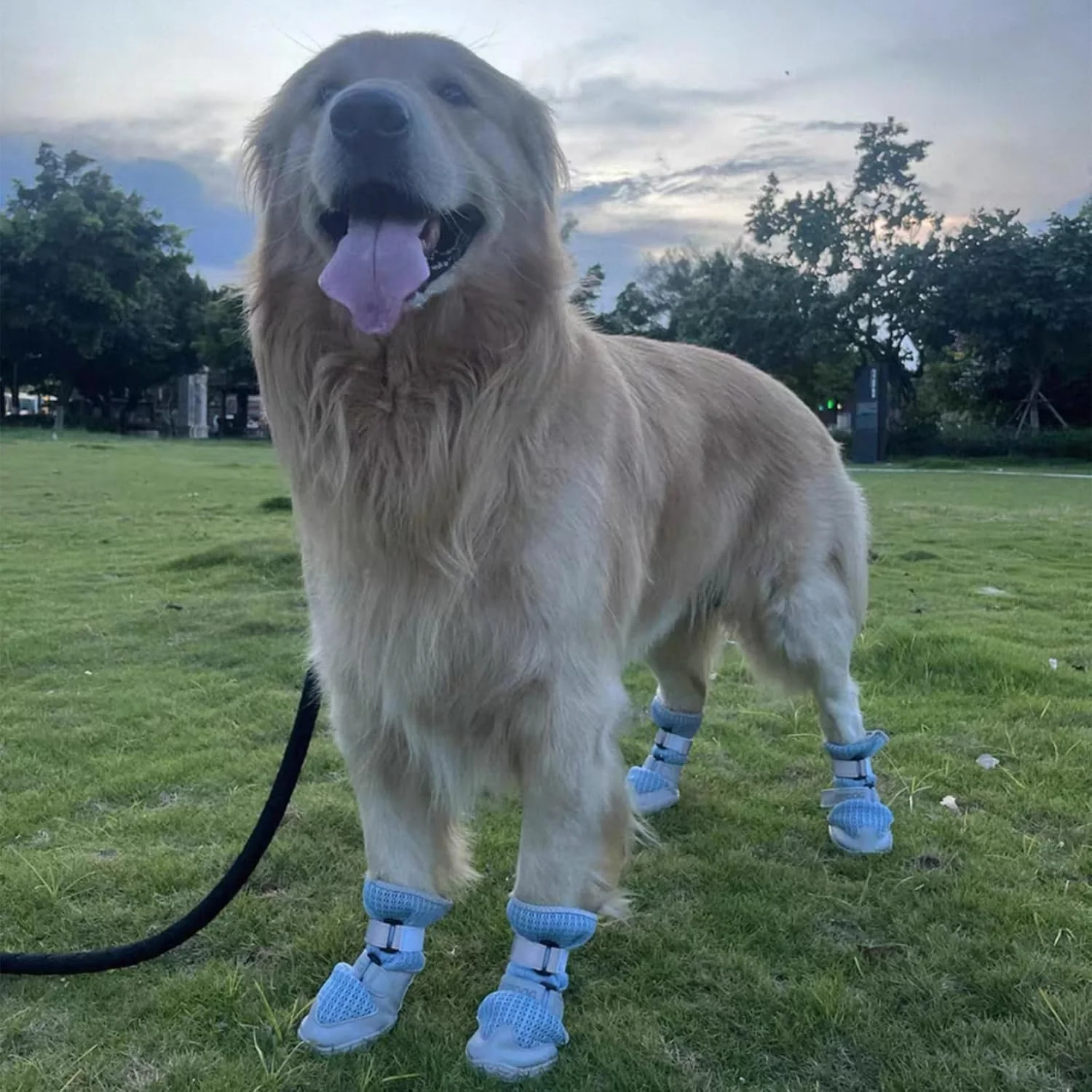 Breathable Dog Shoes with Anti-Slip Sole & Reflective Straps - Image 7