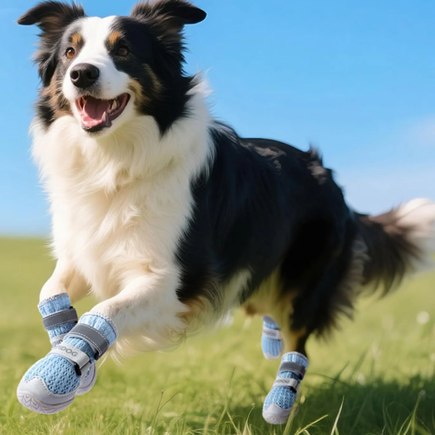 Breathable Dog Shoes with Anti-Slip Sole & Reflective Straps - Image 8