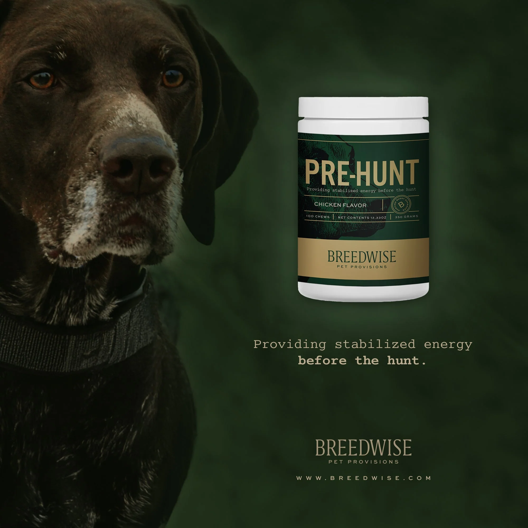 Breedwise Pre-HUNT Soft Dog Chews - Image 2