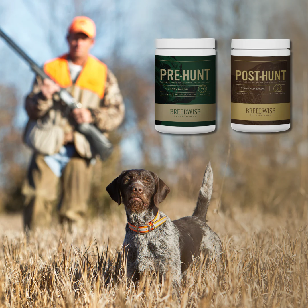 Breedwise Pre & Post-HUNT Soft Dog Chews -  Bundle - Image 5