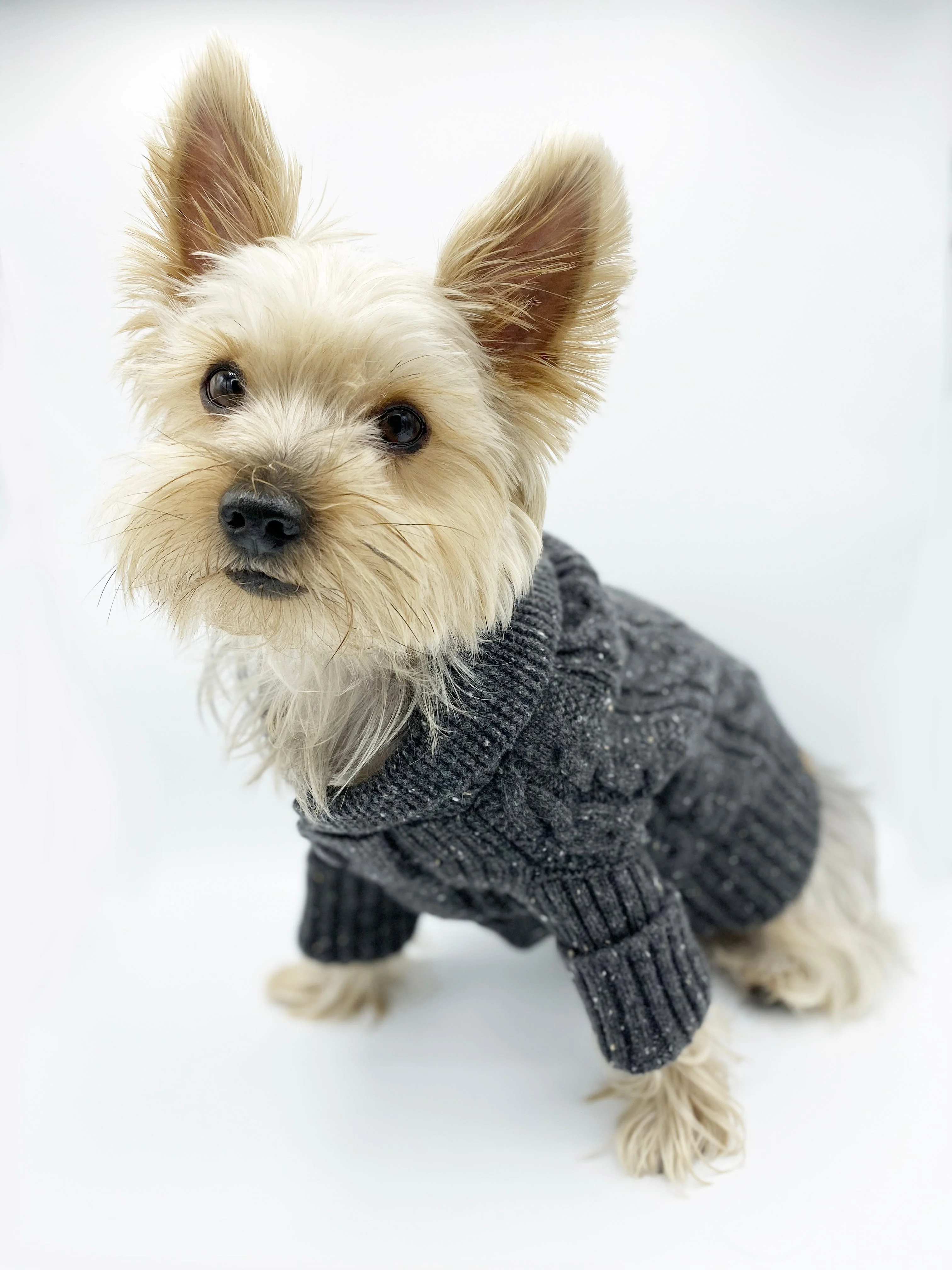Brooklyn Cashmere Cardigan, Charcoal - Image 3