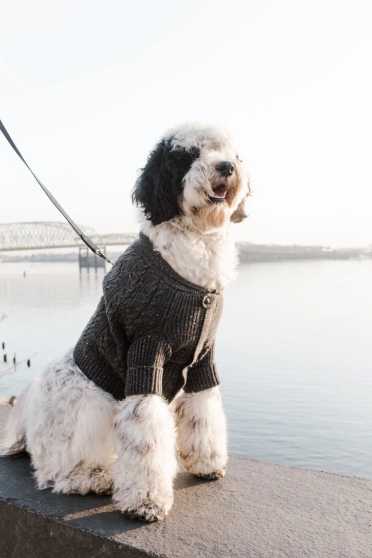 Brooklyn Cashmere Cardigan, Charcoal - Image 4