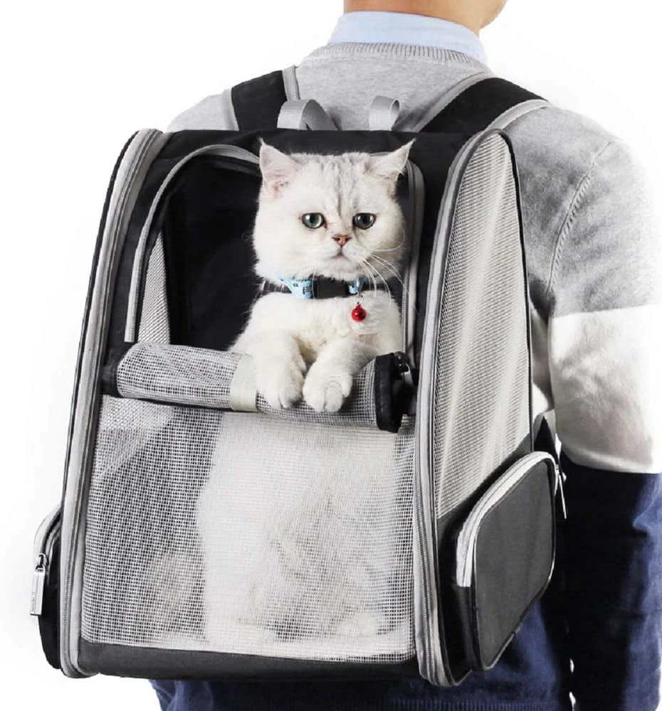 Bubble Backpack Pet Carriers for Cats and Dogs - Image 5