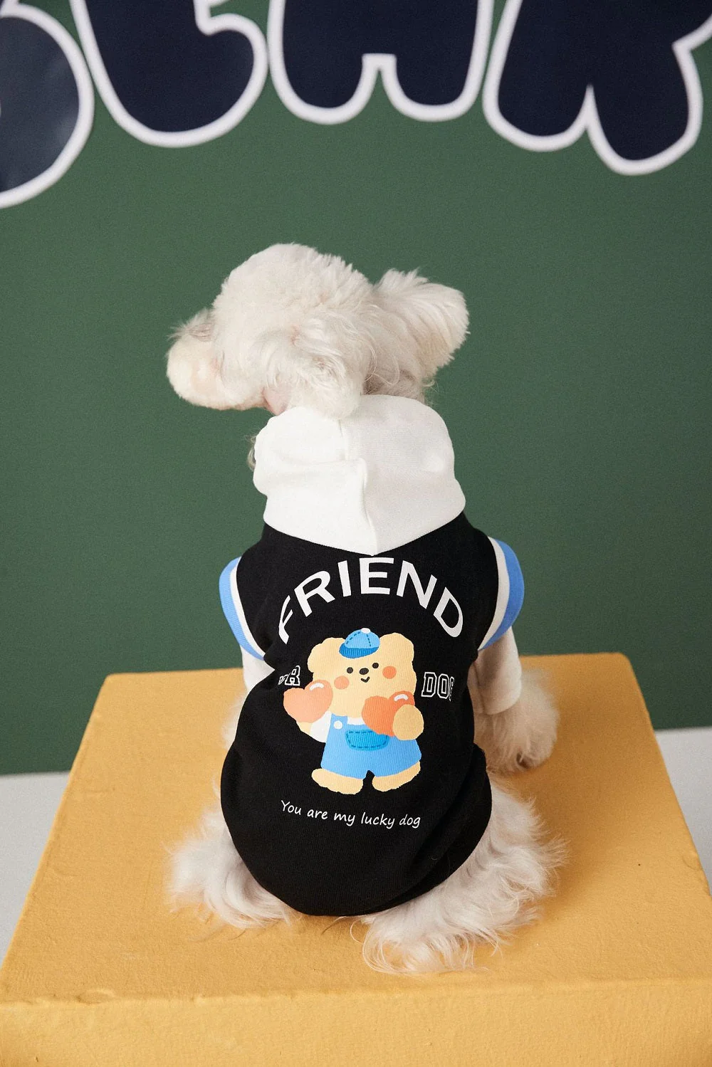 Buddy Bear Dog Hoodie Pet Clothing - Image 4