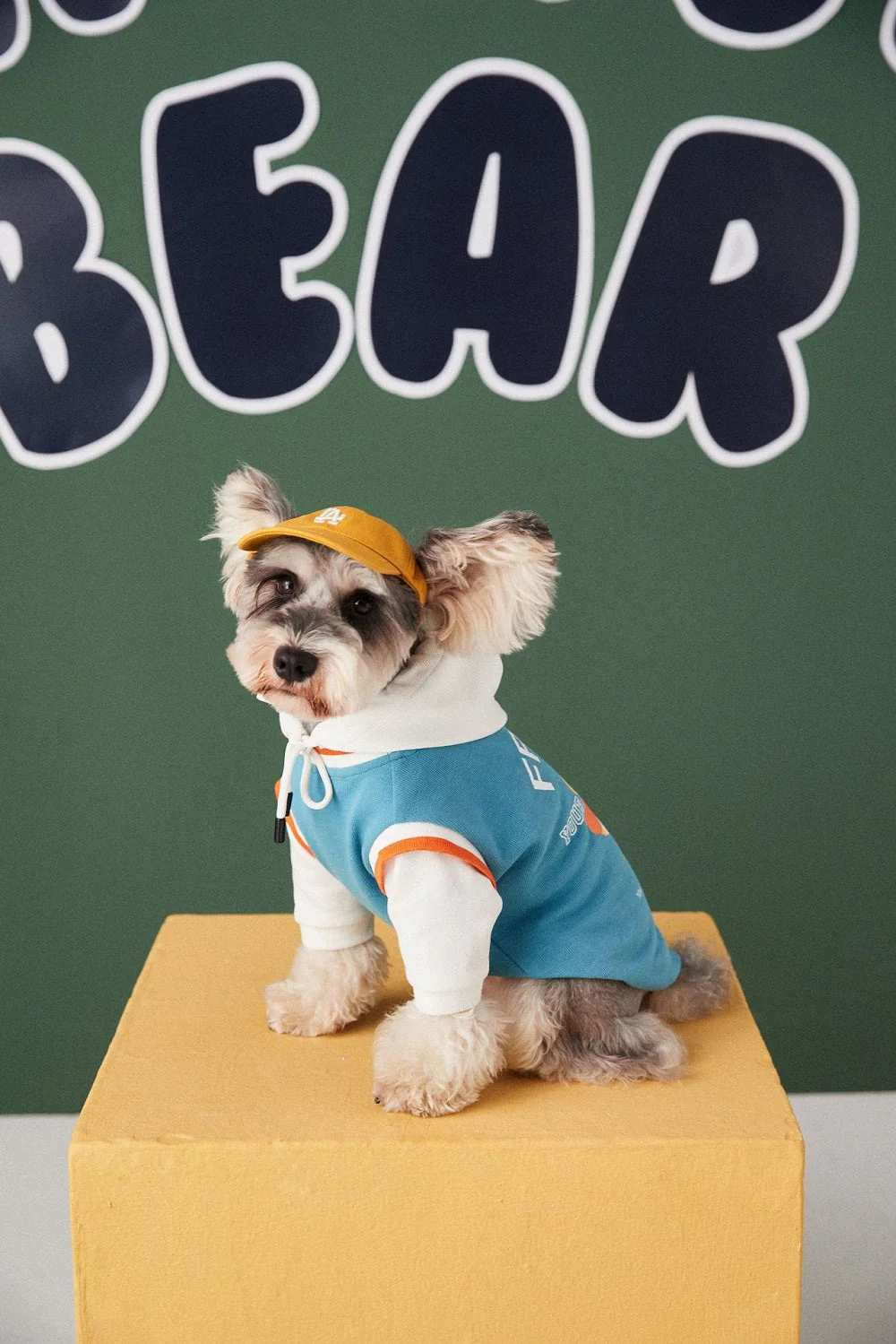 Buddy Bear Dog Hoodie Pet Clothing - Image 9