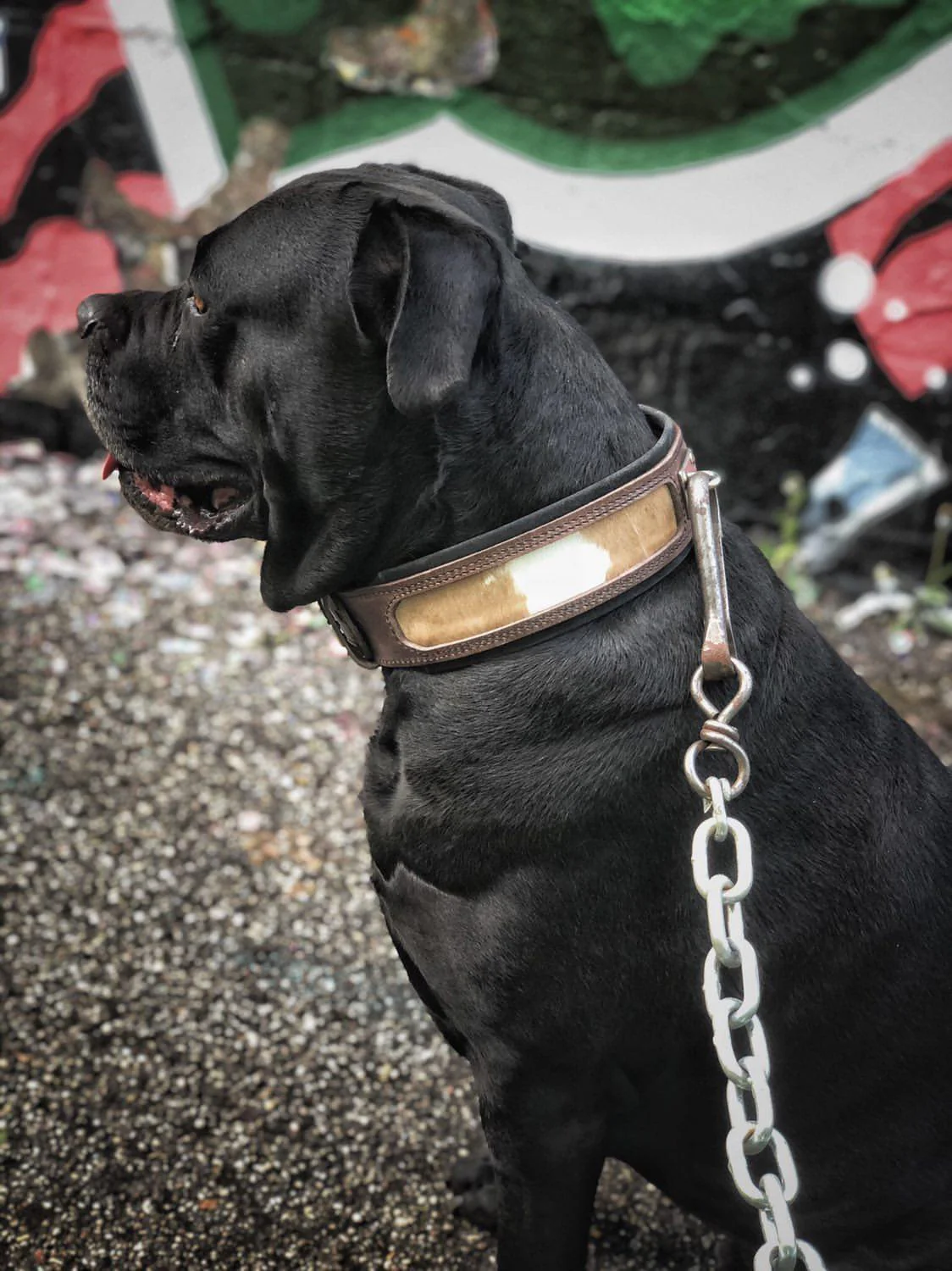 "Buffalo" collar - Image 2