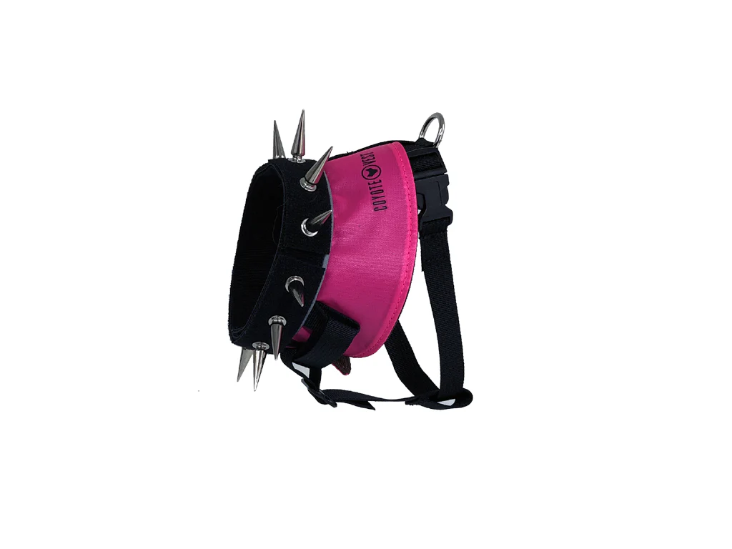 BullyHarness - Image 2