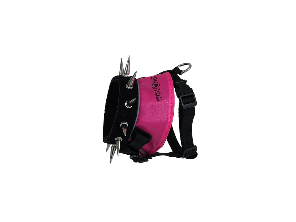 BullyHarness - Image 6