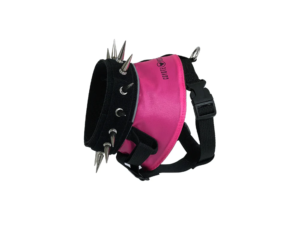 BullyHarness - Image 9
