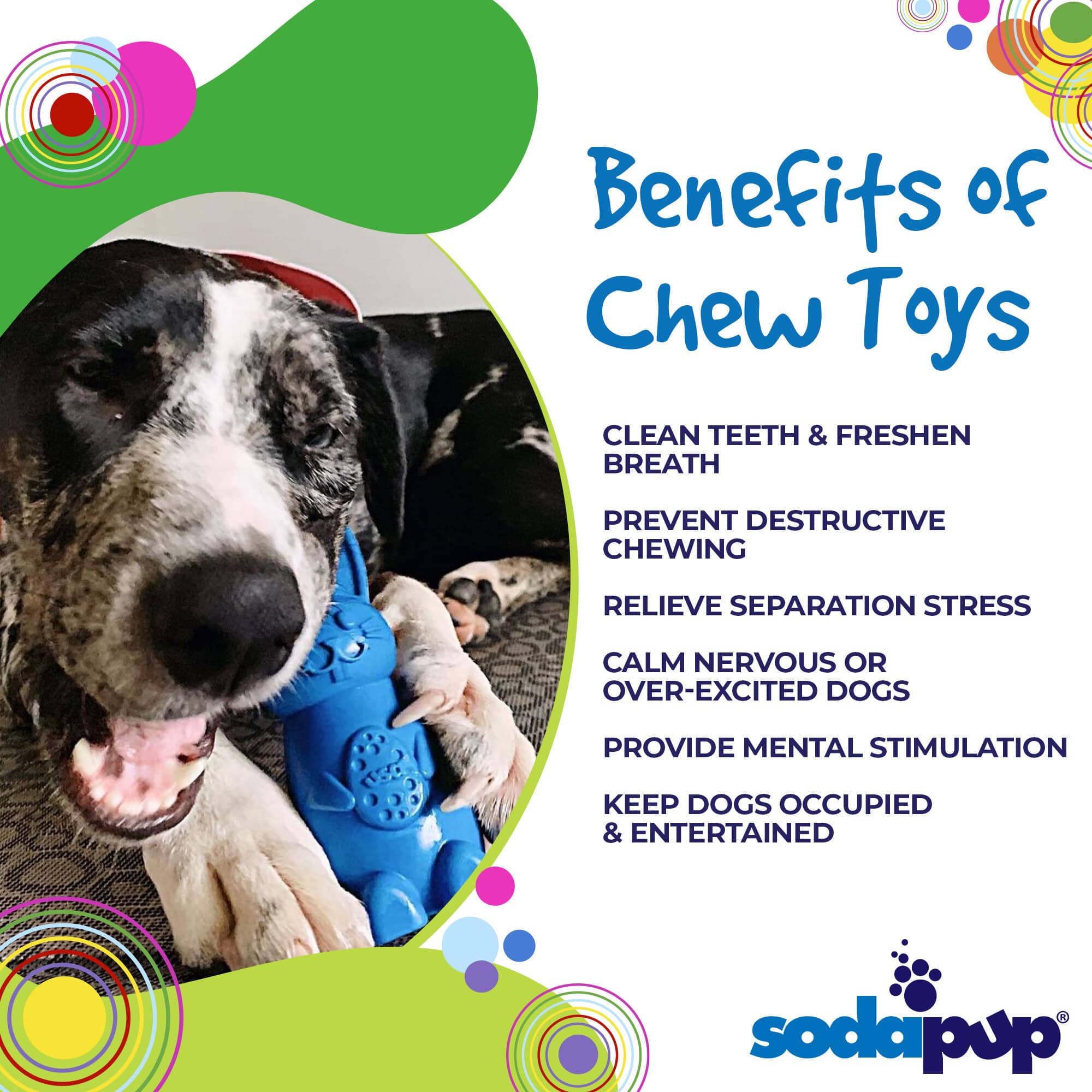 Bunny Nylon Chew Toy for Aggressive Chewers | Durable & USA Made - Image 3