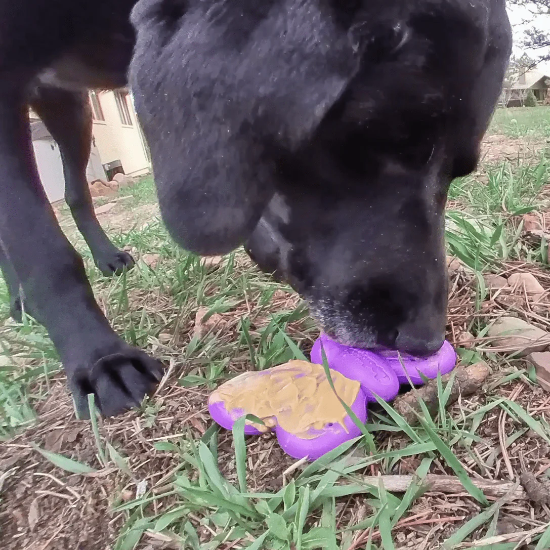 Butterfly Nylon Chew & Enrichment Toy | 2-in-1 for Aggressive Chewers | SodaPup - Image 11
