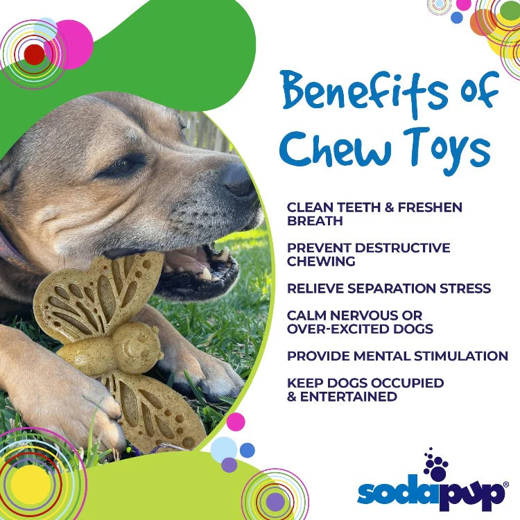 Butterfly Nylon Chew & Enrichment Toy | 2-in-1 for Aggressive Chewers | SodaPup - Image 5