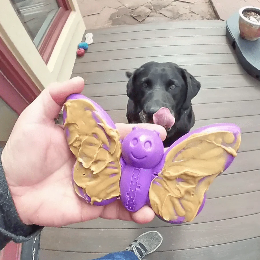 Butterfly Nylon Chew & Enrichment Toy | 2-in-1 for Aggressive Chewers | SodaPup - Image 8