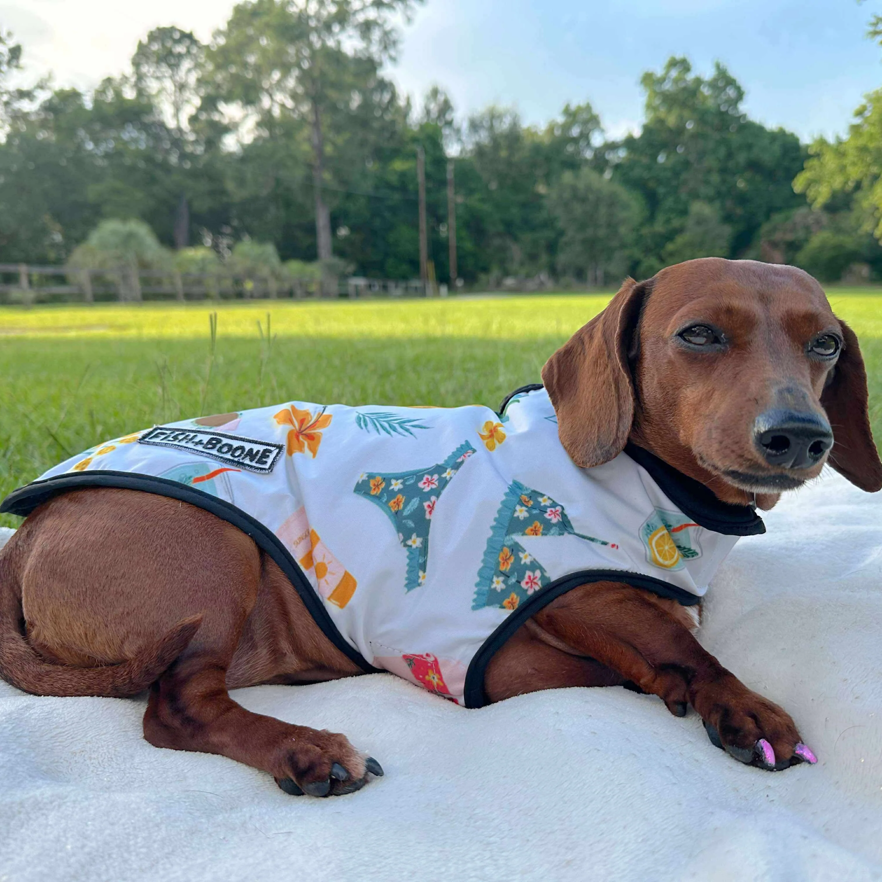 Cabana Club Dog Coat - Image 2