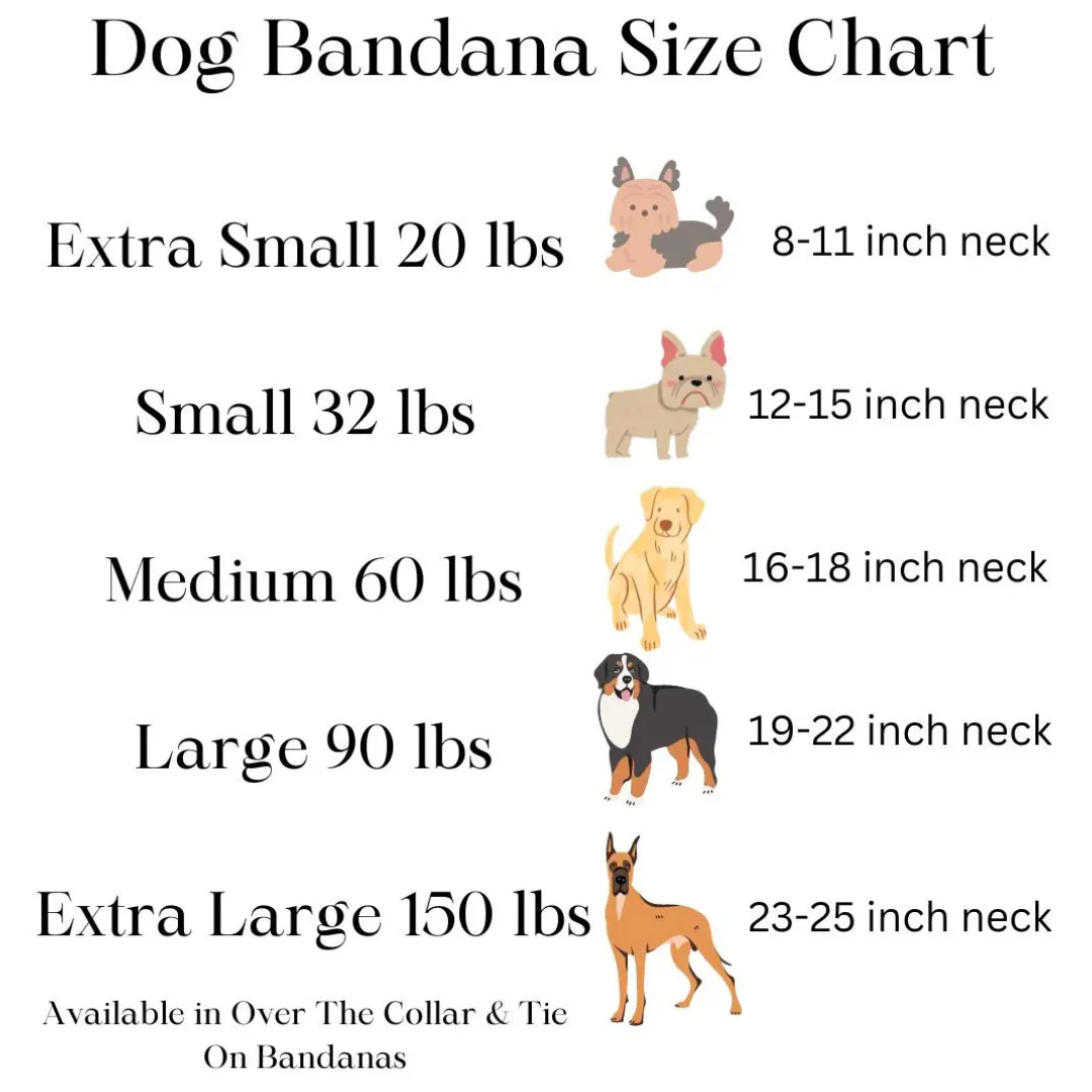 Cactus Dog Bandana - Image 4