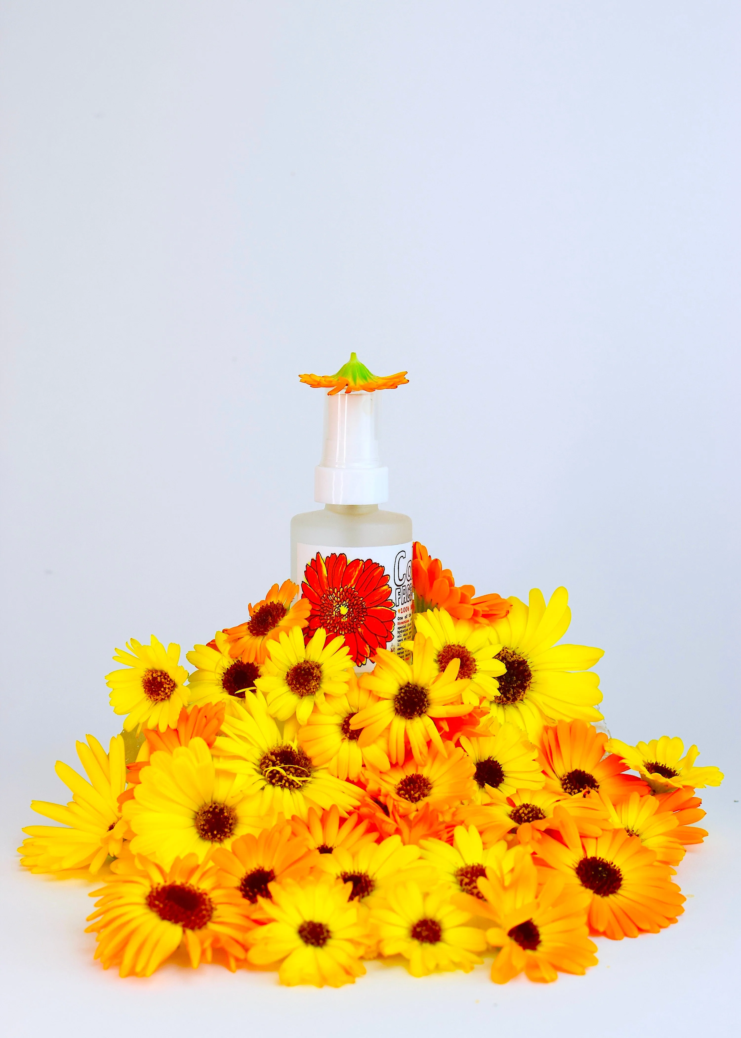 Calendula Face + Body Mist - Image 10