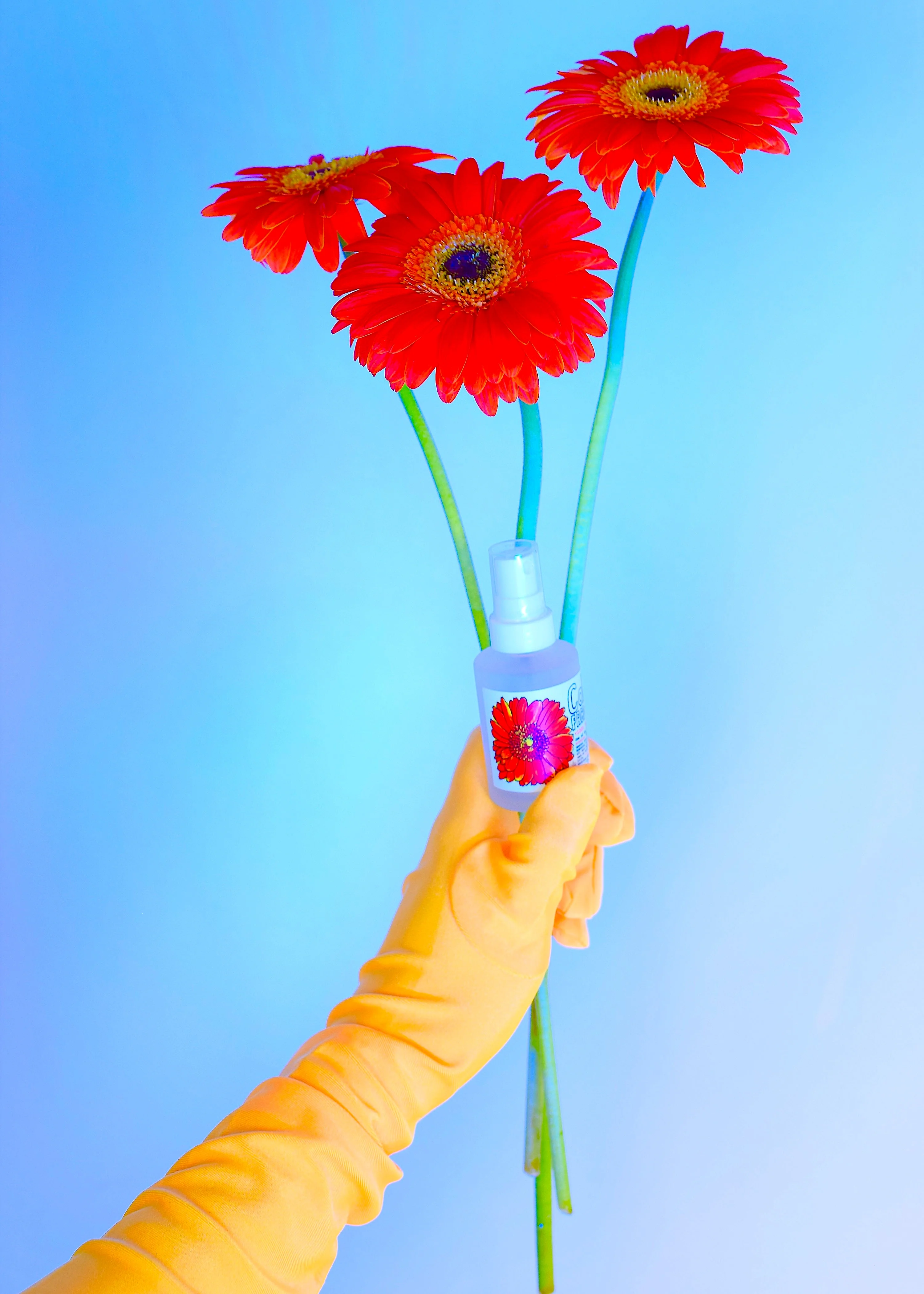 Calendula Face + Body Mist - Image 7