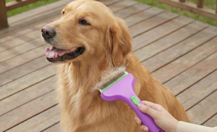 CalmCare Grooming Brush with One-Click Fur Release by Dr. Milou - Image 3
